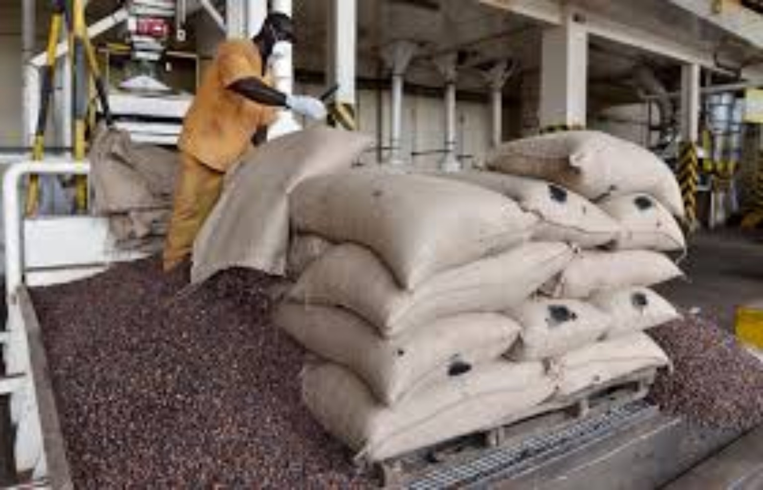 Cocoa Export & Logistics — TROPICAL LINK AFRICA